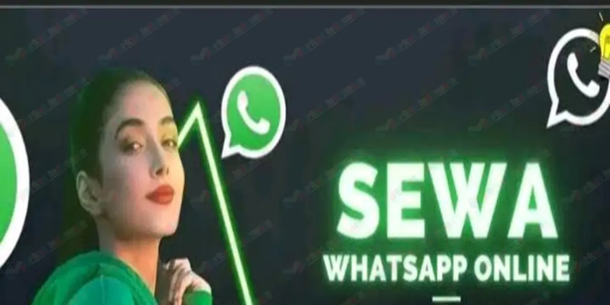 Jual Jasa Sewa Nomor Wa Bulanan - Umur 2 Bulan Sampai 2 tahun (Wa Business) Cocok Untuk Promo Massal