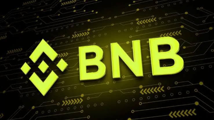Alasan Terlogis untuk Membeli dan Menyimpan Koin BNB (Koin High Potensial)